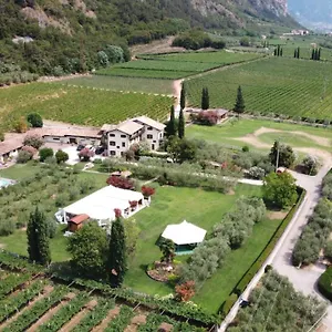 Az. Agr. Tenuta La Casetta Mama di Sopra